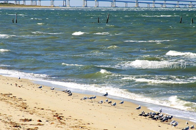 海湾大桥隧道