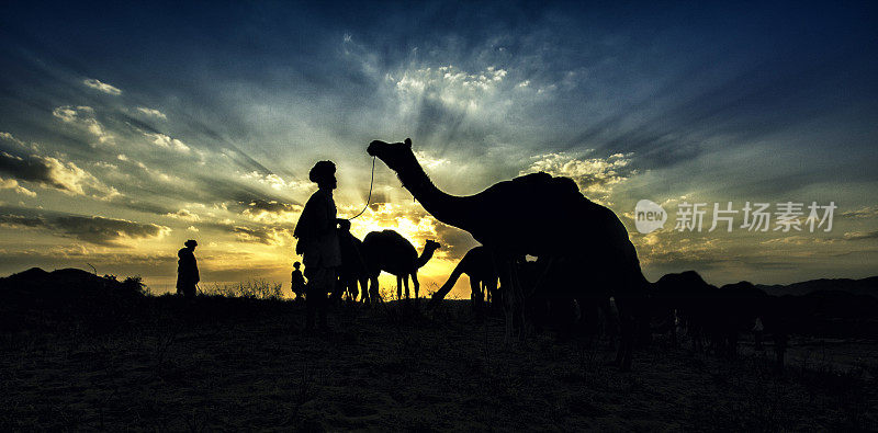 晚上在拉贾斯坦邦的普什卡尔骆驼集市，