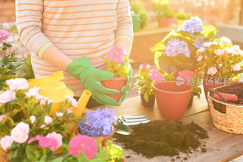 屋顶花园