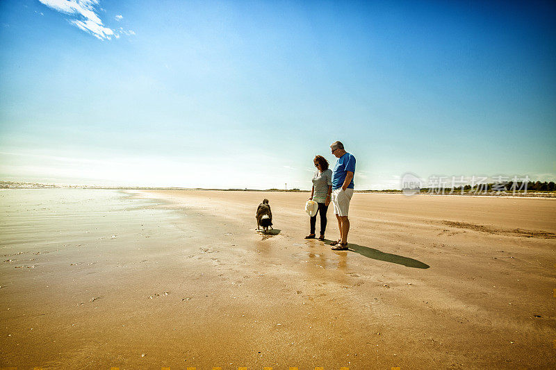 一对成熟的夫妇带着狗在海滩上散步