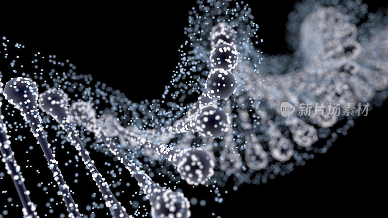 DNA链螺旋结构