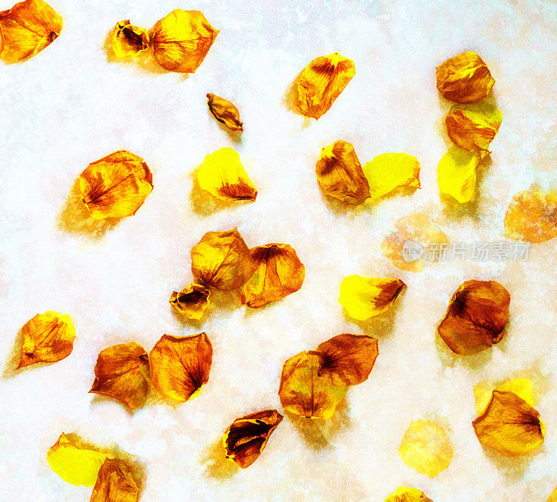 大理石上的黄色和金色花瓣