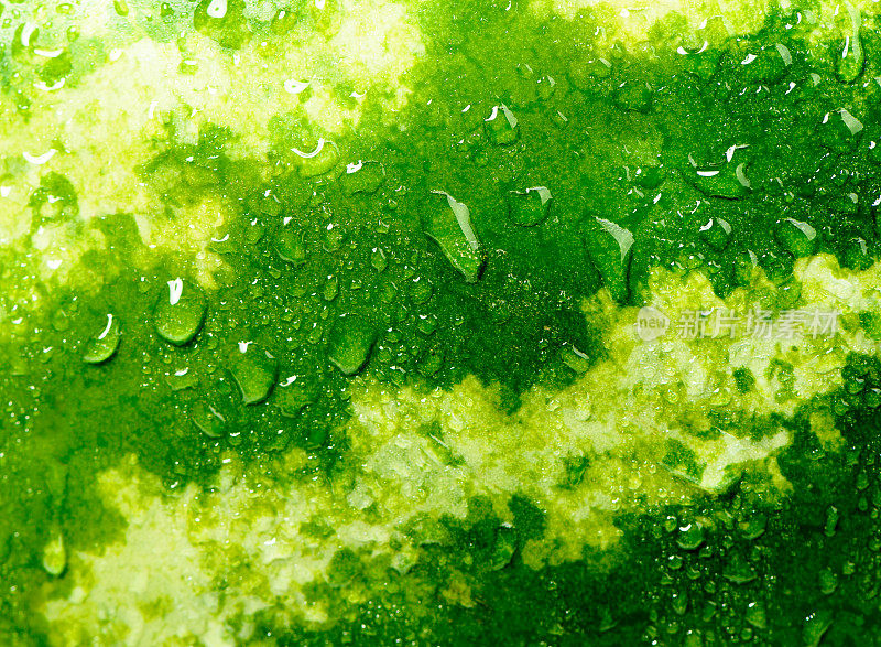 西瓜绿皮质地，呈滴状