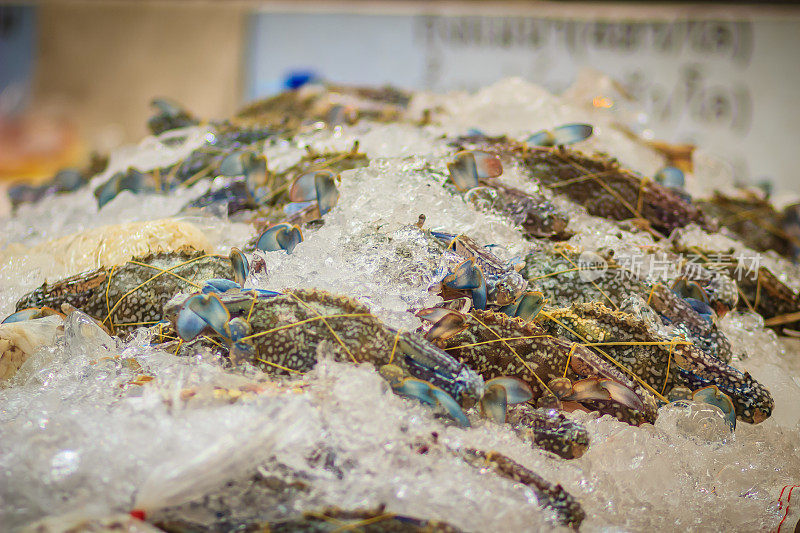 超大型梭子蟹，也被称为花蟹、蓝蟹、蓝游水蟹、蓝甘露蟹或沙蟹，印度尼西亚语为rajungan，他加禄语为alimasag。出售青蟹。