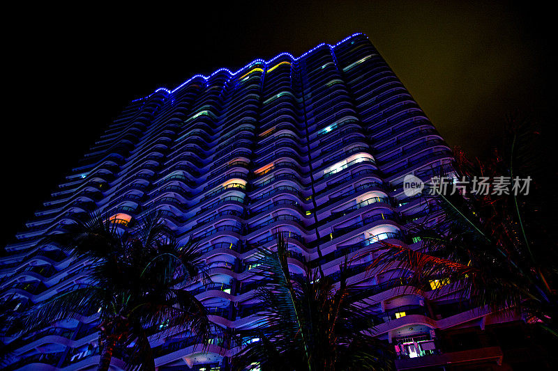 高耸的摩天大楼和美丽的棕榈树，热带的夜城，自然和建筑的结合。