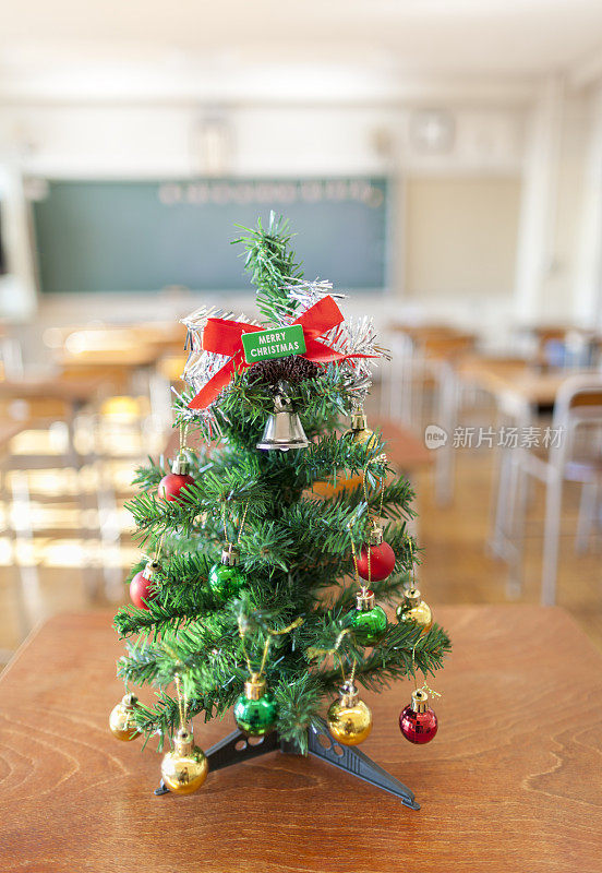 教室里的圣诞树