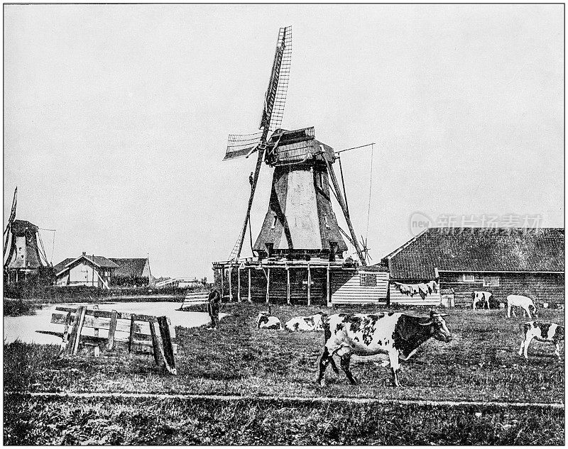 世界著名景点的古董照片:荷兰的风车