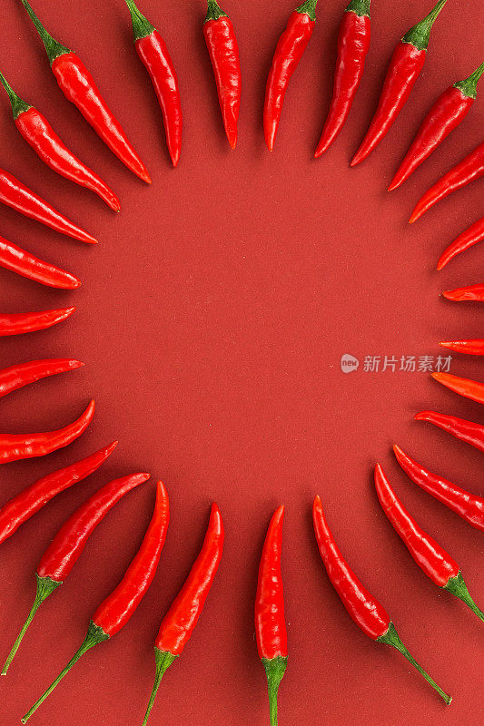 红辣椒，流行的香料概念——装饰圈是用红辣椒豆荚做成的，在红色的背景上，中间是自由的文字空间，俯视图，平铺，垂直