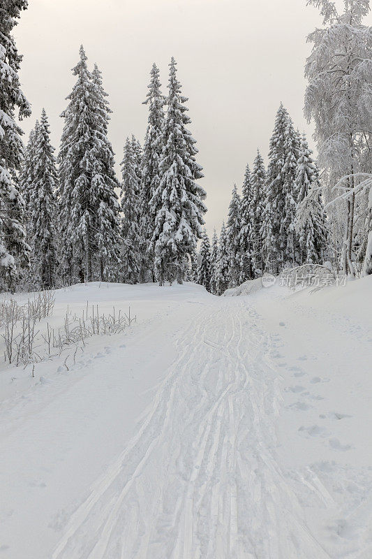 有滑雪道的冬季景观