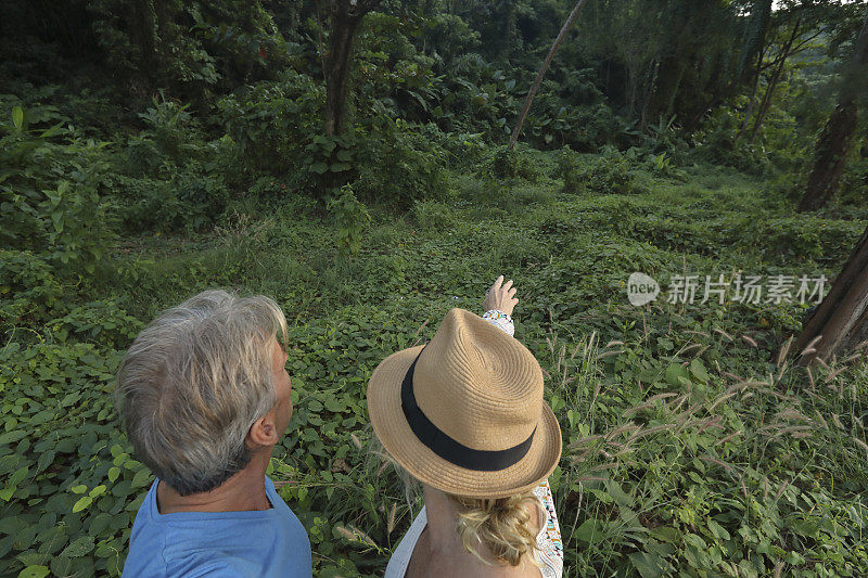 在探险过程中，一对夫妇凝视着丛林