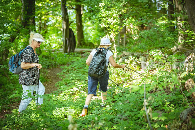 女性徒步穿越森林