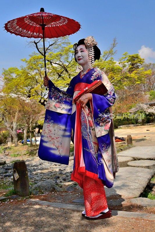 穿着舞子服装的日本女人享受京都的春天