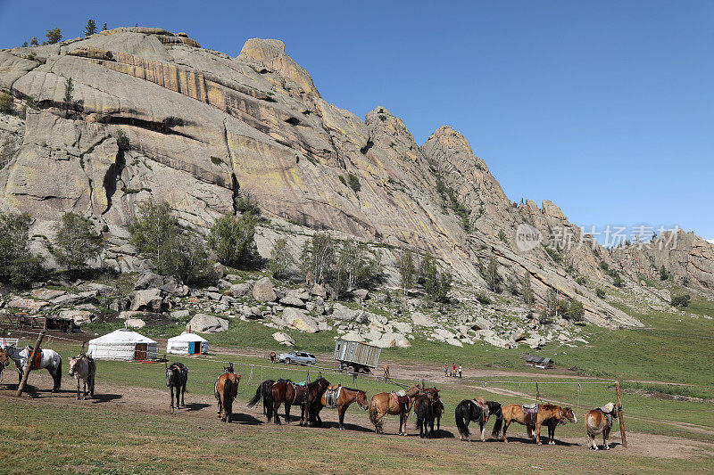 Terelj国家公园里的马和蒙古包
