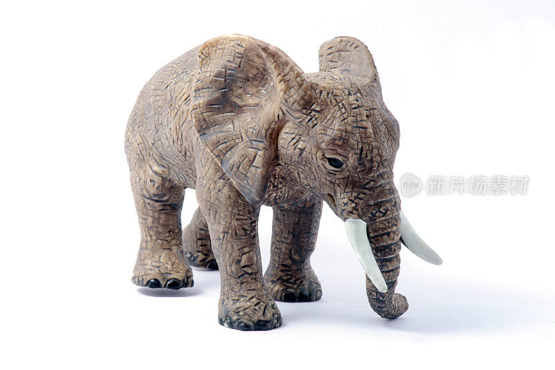 大象玩具模型孤立在白色背景上