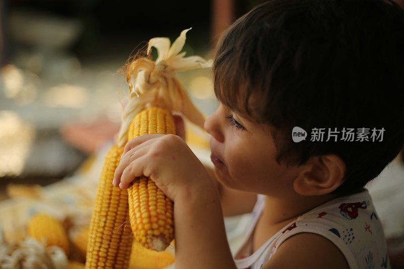 小男孩在啃新鲜的玉米棒子