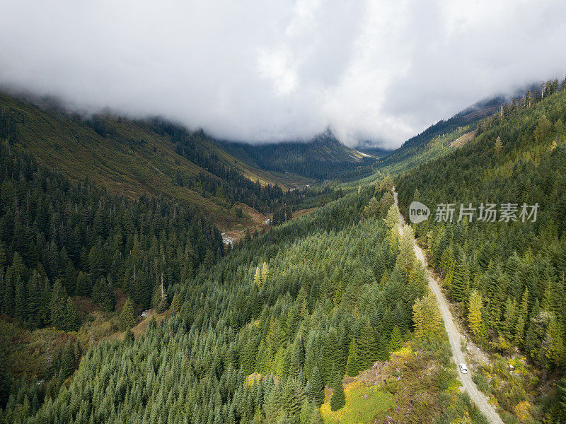 森林服务道路上的汽车鸟瞰图