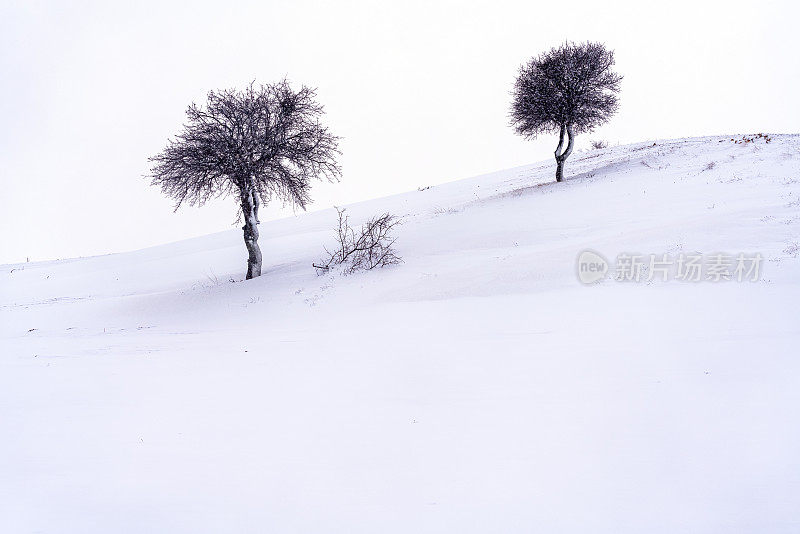 雪在草地，冬天的风景