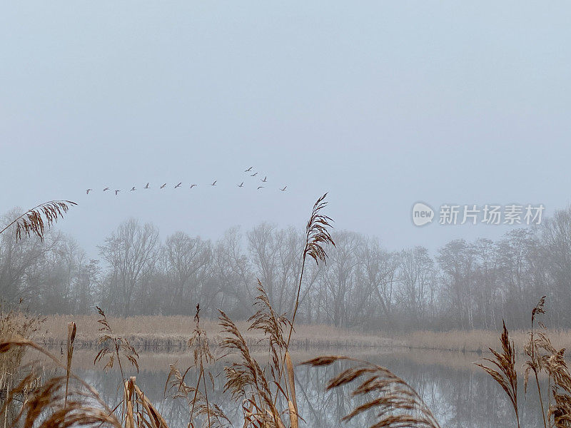 雾湖