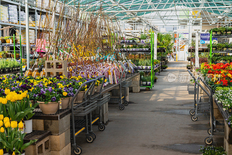 花园中心和花卉市场。多种花卉、树木、植物，不同类型的盆栽土壤和有机肥。春季，生长季节，园艺概念