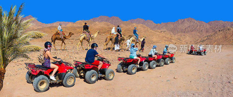 人们在埃及的沙漠里旅行