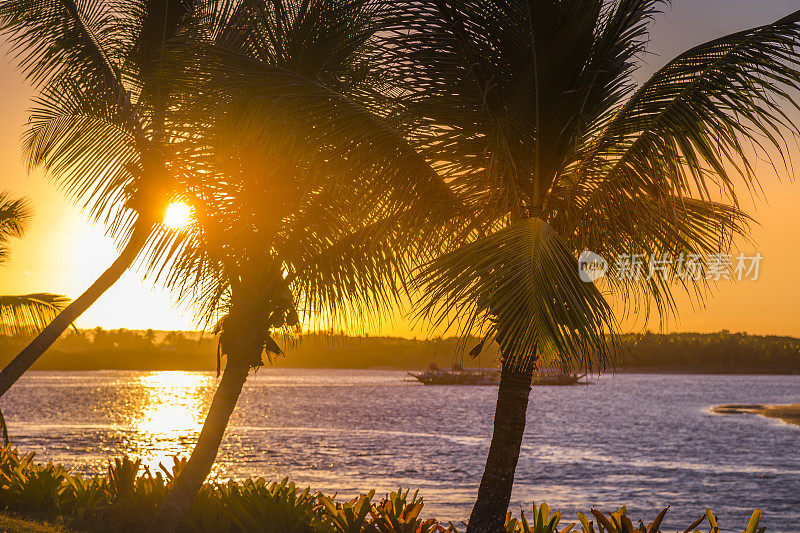 巴西东北部巴伊亚海滩和棕榈树上空的戏剧性天空——塞古罗港的日落