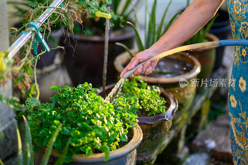 早晨户外活动给植物浇水