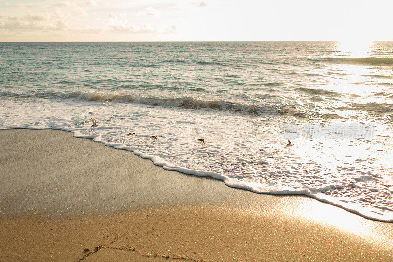 2020年9月15日，美国佛罗里达州棕榈滩，日出后不久的闪光海滩海岸线