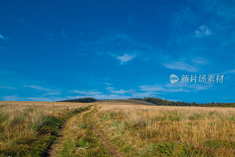 老山或斯塔拉平原，白天的路