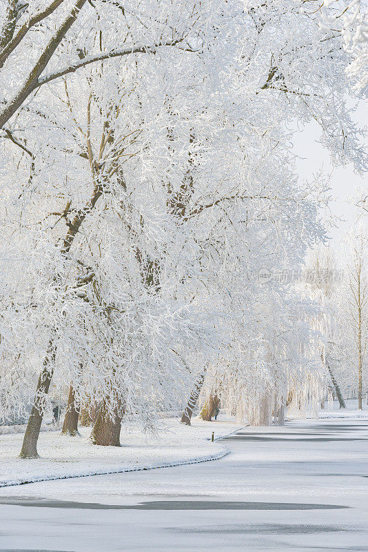 荷兰坎彭市公园的雪景