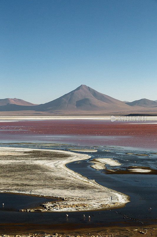 风景秀丽的拉古纳科罗拉多在日落在Altiplano，玻利维亚