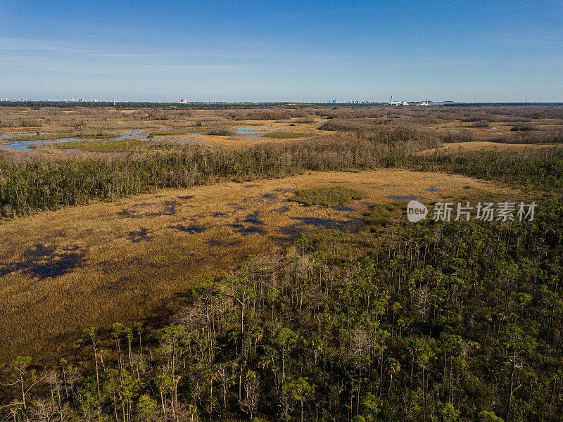 2021年2月，无人机在佛罗里达州北湖西部拍摄的金色树木和绿水