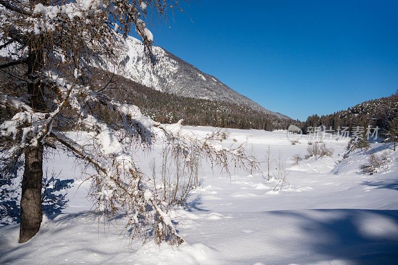 越野滑雪