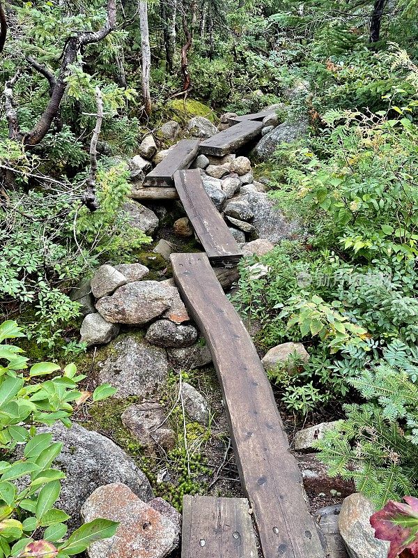 自然之路-阿巴拉契亚山道