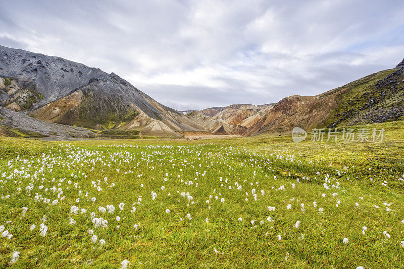 欧洲美丽独特的岛国冰岛的高地上的Landmannalaugar的令人叹为观止的彩色山丘