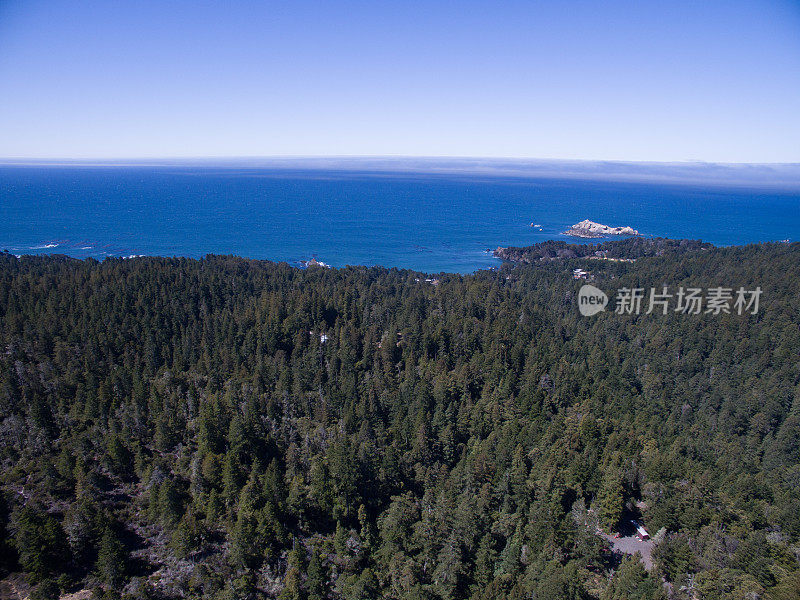 北加州无人机的森林和海洋视图