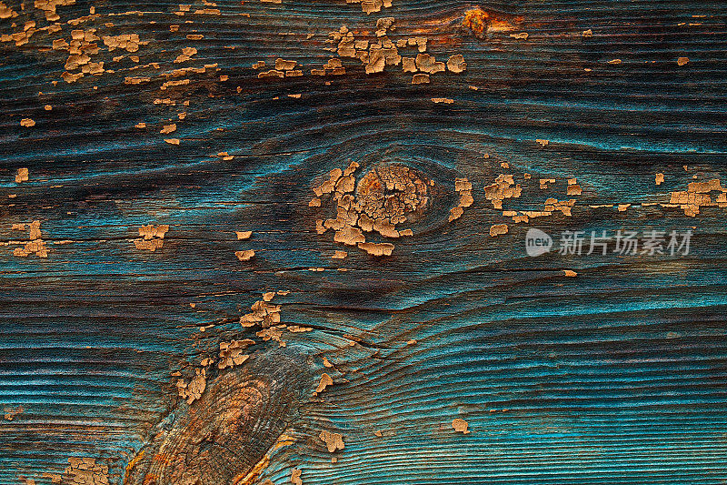 斑点对比青绿色木材纹理与磨损和内含物。自然老化的纹理木材特写