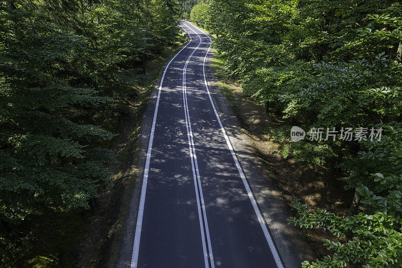 鸟瞰绿色森林中的山路