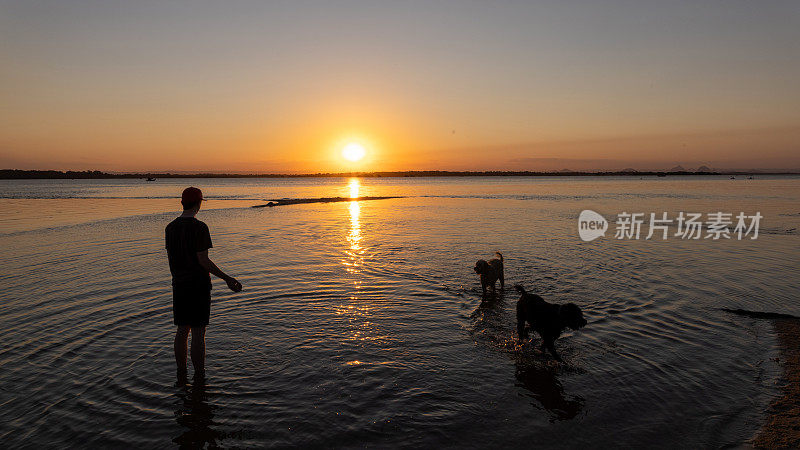 一个十几岁的男孩在日落时和他的狗玩耍