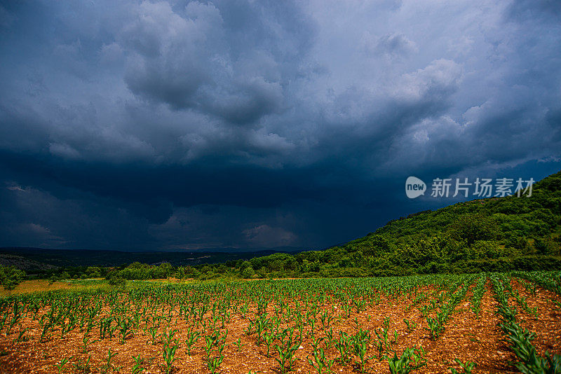 斯达拉普兰尼纳或古山