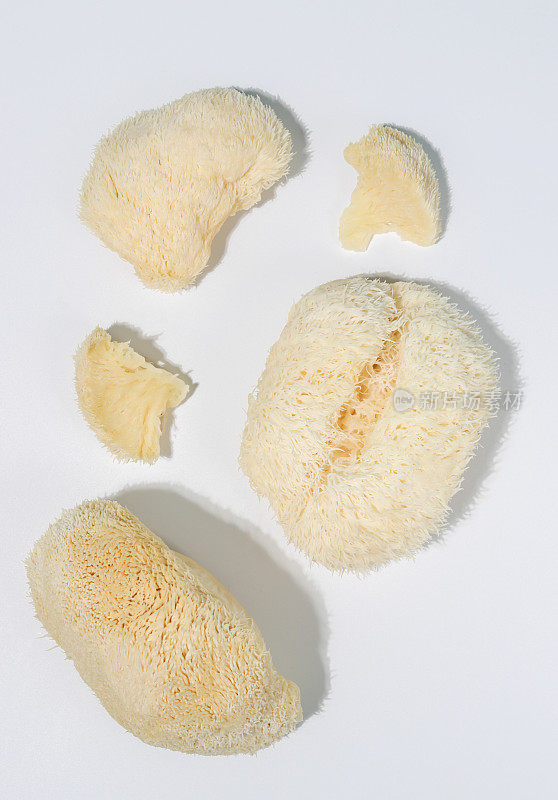 Cordiceps狮子鬃毛健康蘑菇改善精神健康和集中