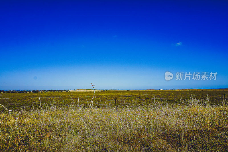 澳大利亚内陆的一块旱地。