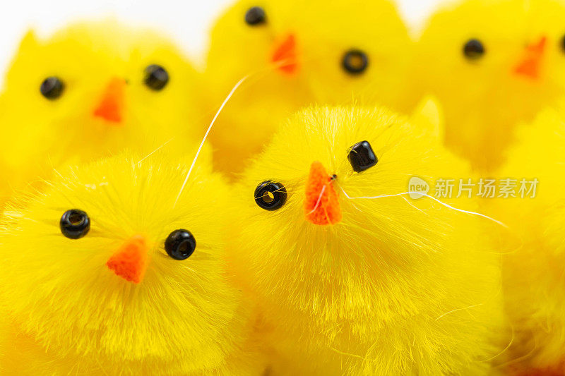 黄色的复活节小鸡