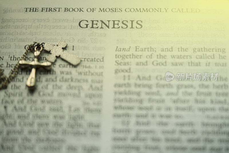 摩西的第一本书通常称为《创世纪》