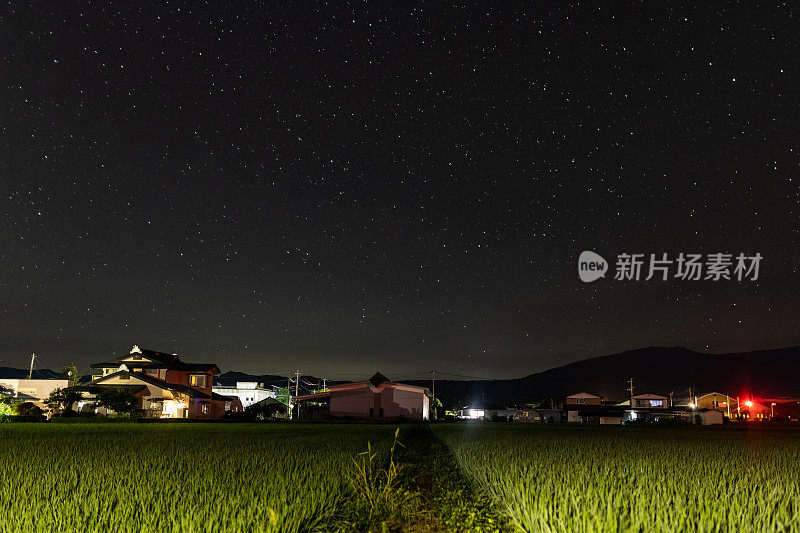 清澈的星空笼罩着稻田