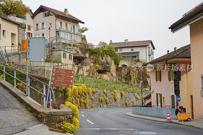 葡萄园露台，拉沃，瑞士