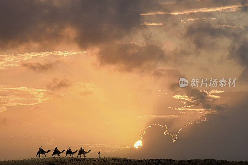 埃及吉萨墓地，日落时排成一行的骆驼