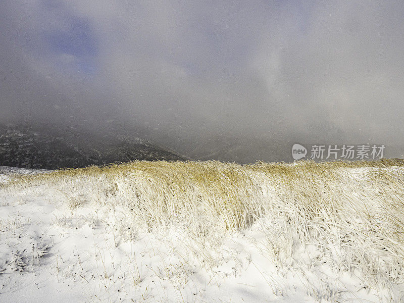 霍瑟姆山有暴风雪