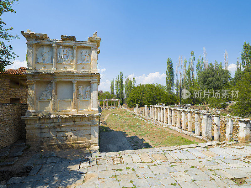 春草古城，aydın。火鸡