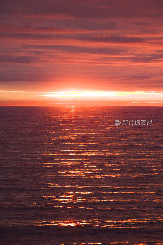 午夜太阳粉橙色日落在冰岛北部的海洋在夏天