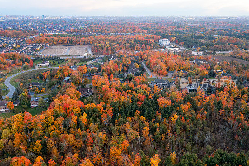 多色树叶在邻里公园在韦斯顿路和麦肯齐少校博士，伍德布里奇，加拿大
